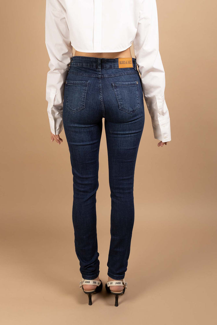 Indigo Skinny - Blues and Jazz